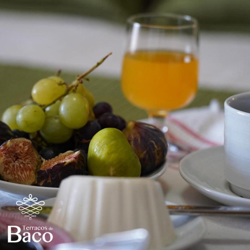 Terracos De Baco Farm stay