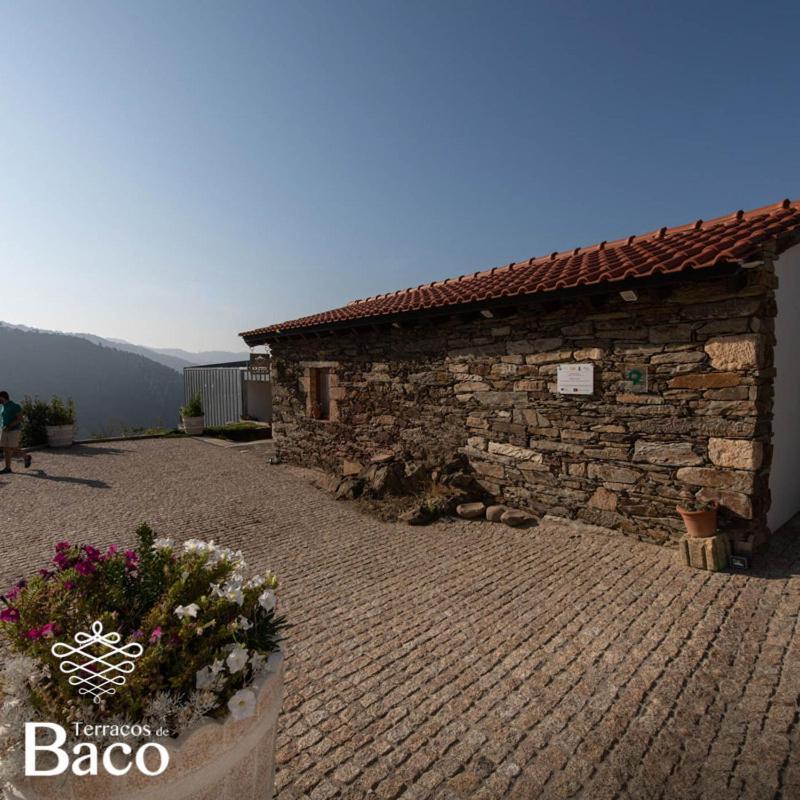 Terracos De Baco Farm stay Ribalonga